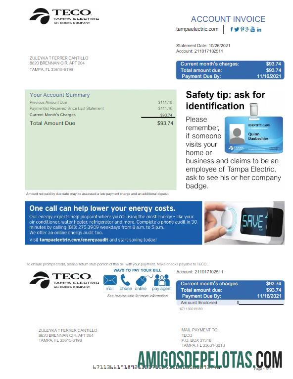 Para baixar modelo de Word e PDF para fatura de serviços públicos dos EUA TECO